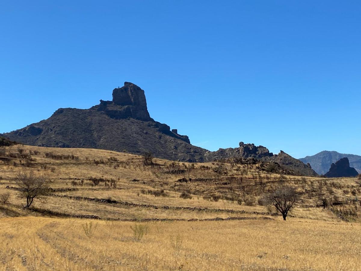 Vacacional La Tea The Best Location And The Best Views Tejeda  Exterior photo